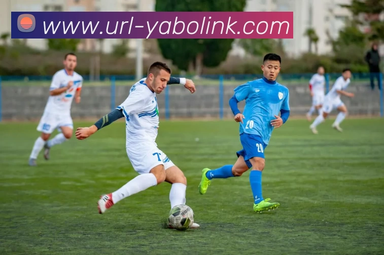 亚博体育APP 封面图